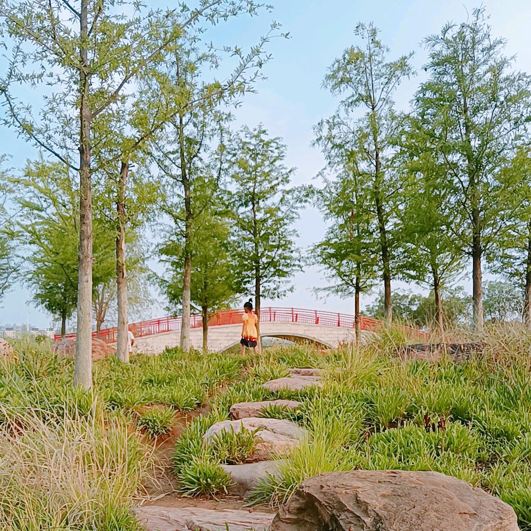 心中闪过的微光