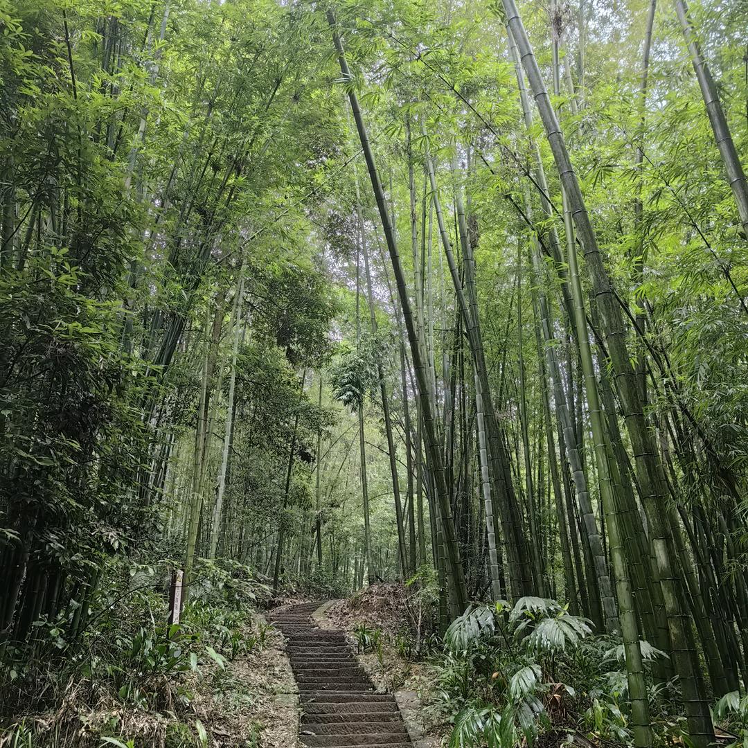 墨禅斋