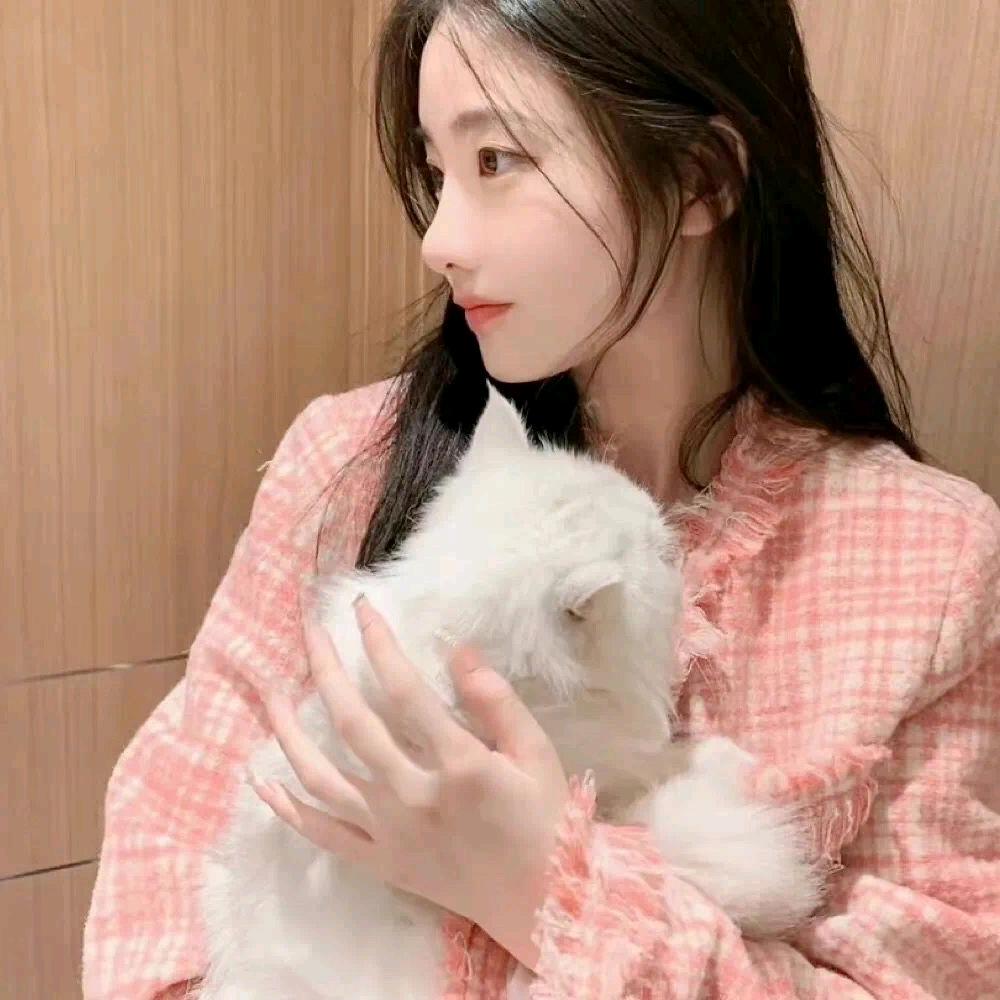 猫耳朵喵喵的头像
