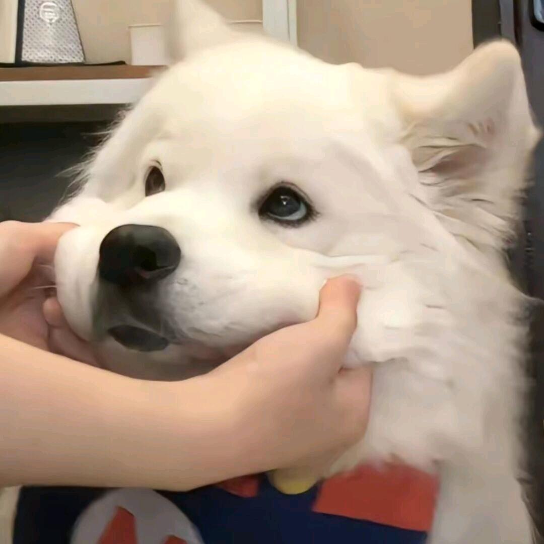 ㅤ ⃘⃘ ⃘ ⃘⃘ ⃘ㅤㅤ