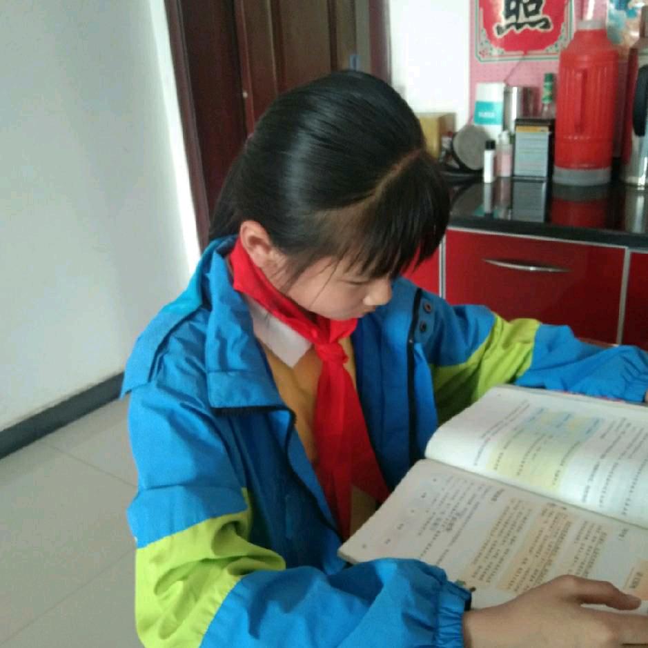 查梓涵