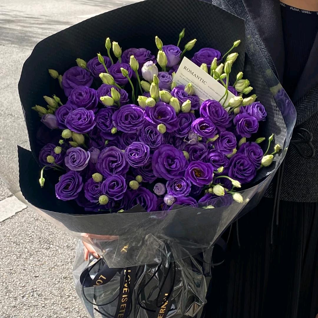 元宝花卉