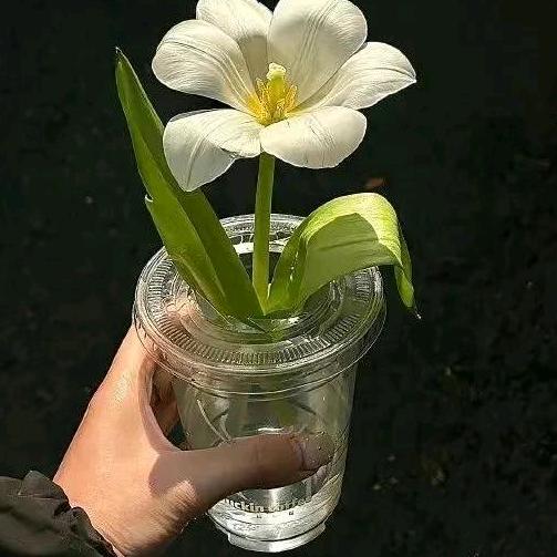 -托举