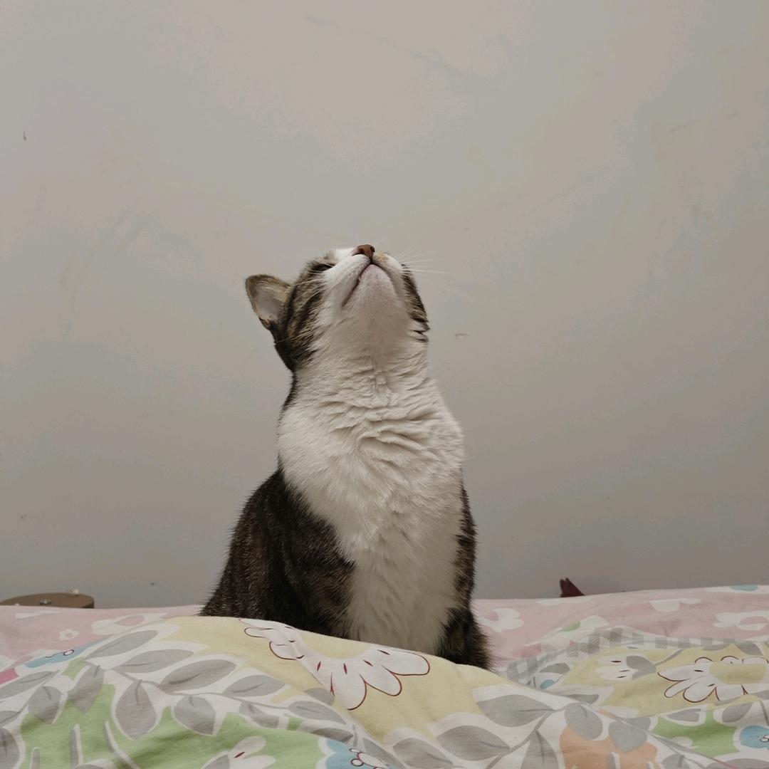 玛妮💞