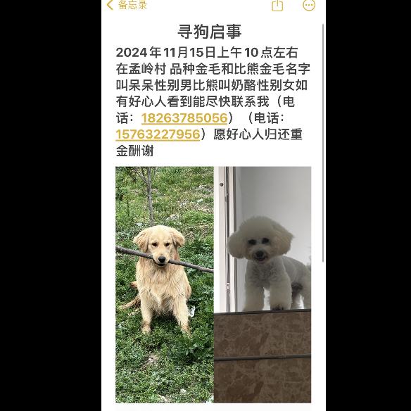 往后余生该何去何从