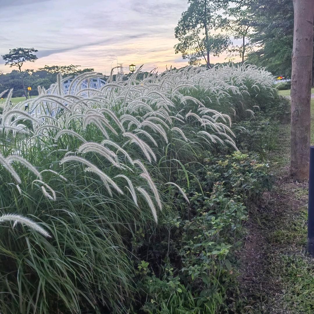 爱留给最疼你的人