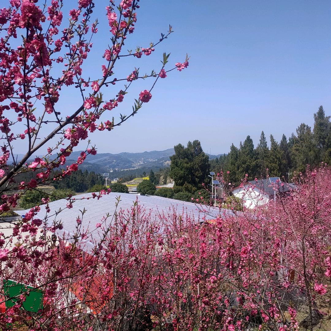 乡野土货，土里土气。