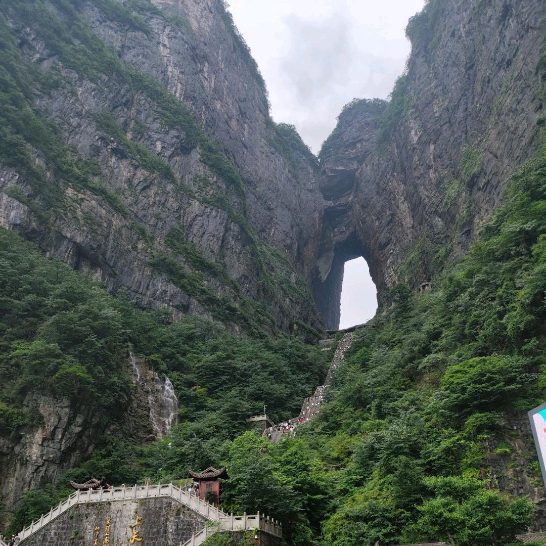 鸡蛋龙徐面