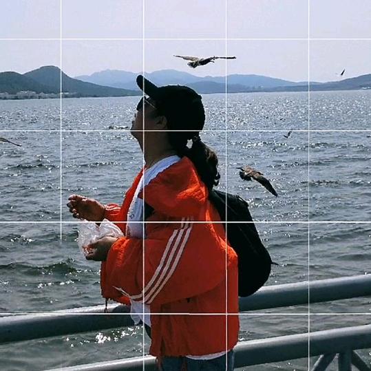丽儿