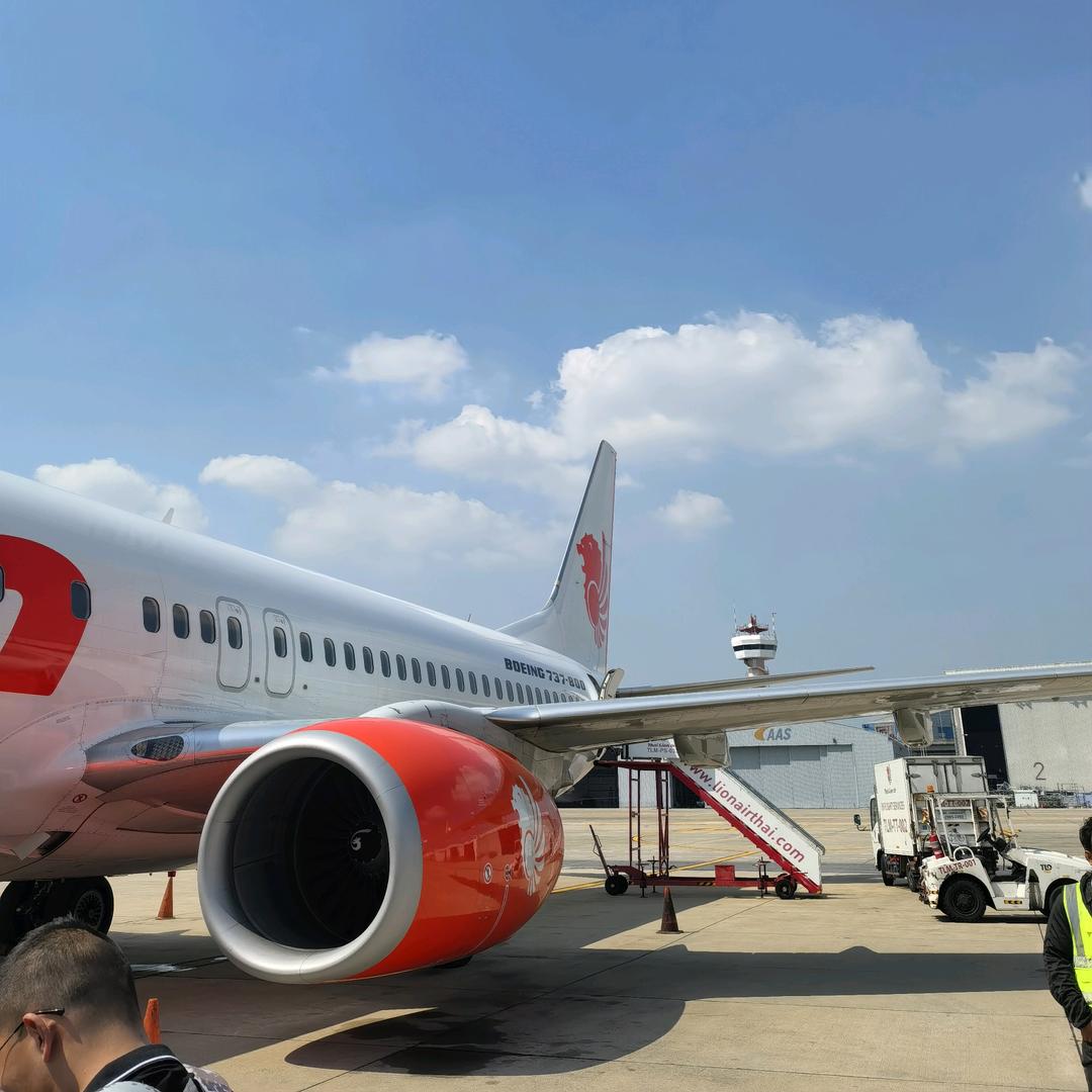 青春永驻，鸽子