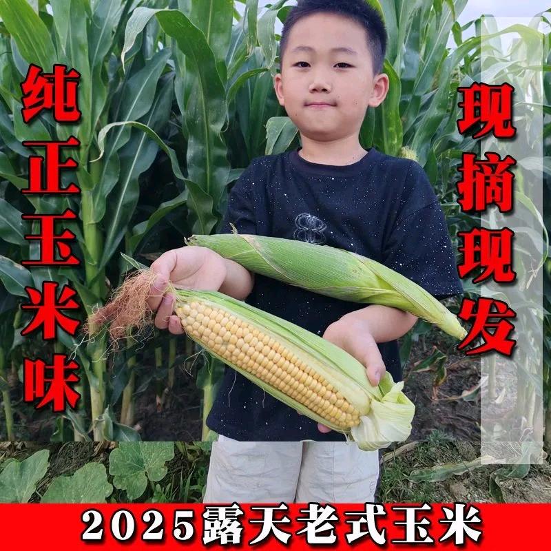冠州优品