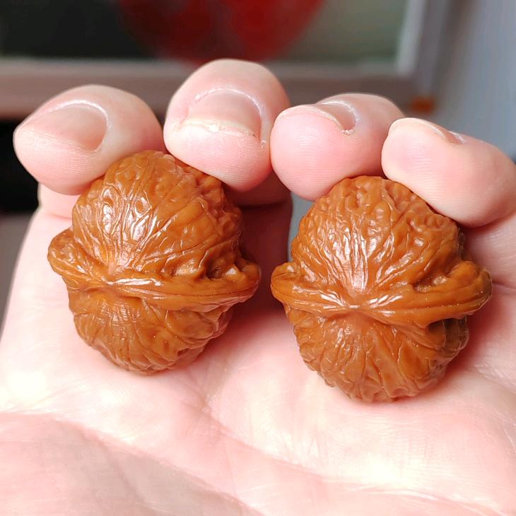 人生得意须尽欢