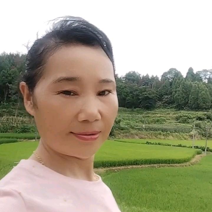 元