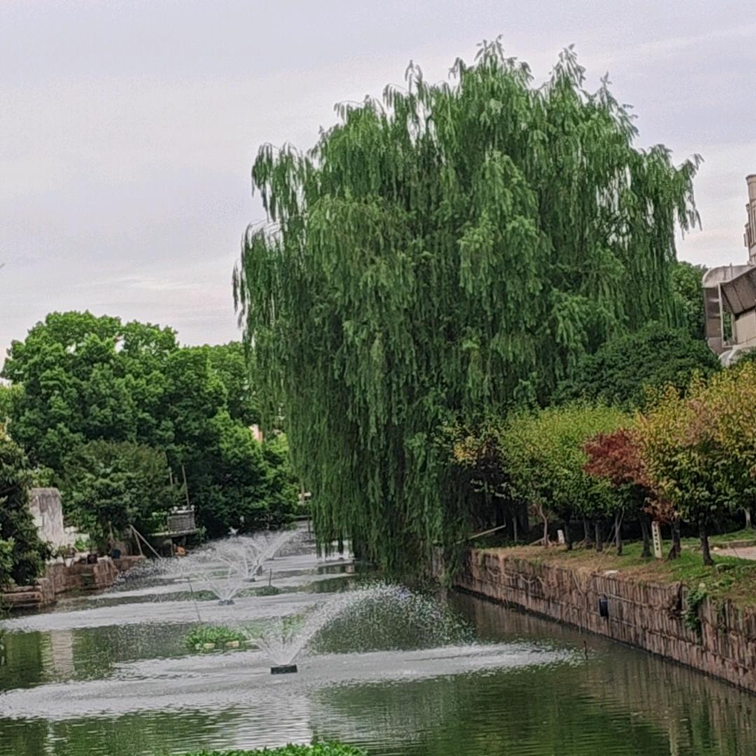 下雪不冷化雪冷