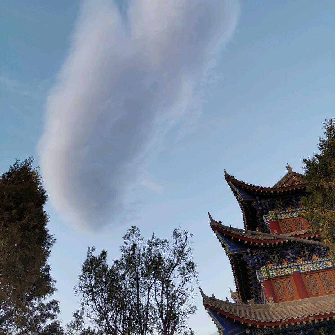 菡萏花开月正明