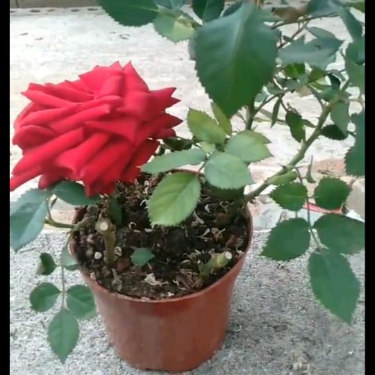 温暧昧不清