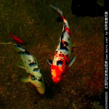 ღ᭄ꦿ࿐过往不念ღ᭄ꦿ࿐