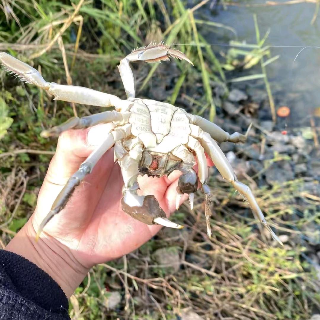 户外捕鱼