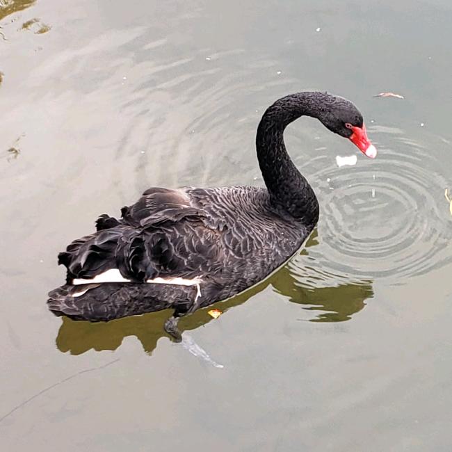 ☼乐梦真现☾.˖٭