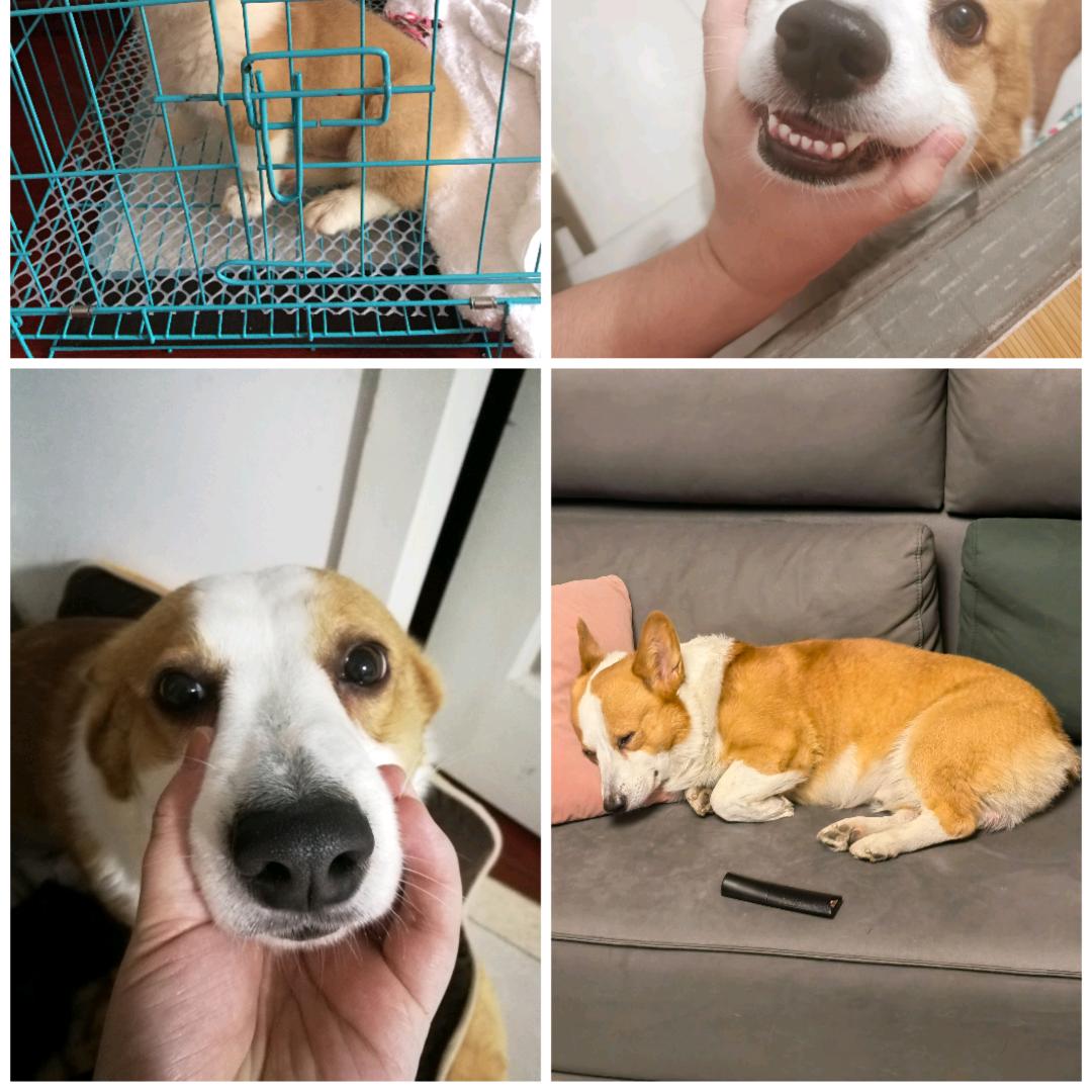 小黑子和小六子