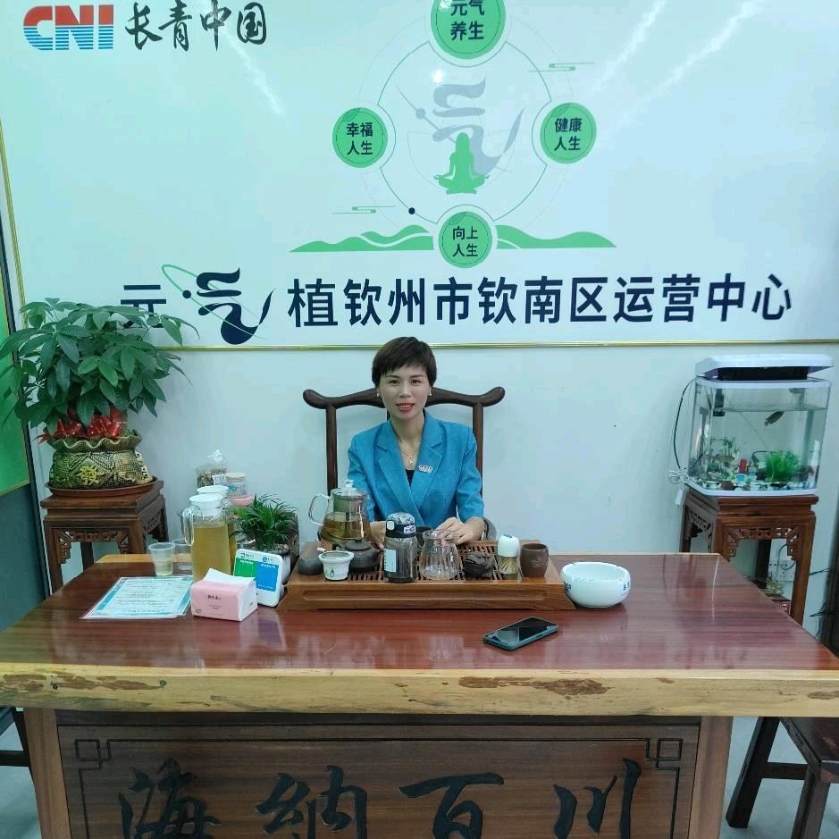元气植～吴金