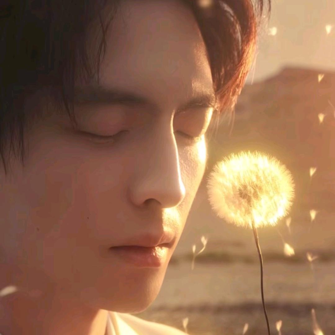 牢温拆卡【香香👋版】