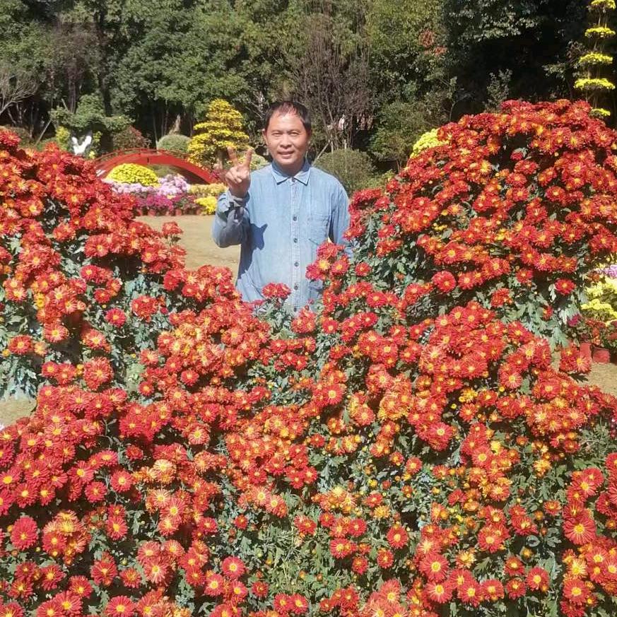 爱的泪史