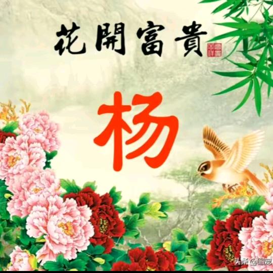 用户8448073031085