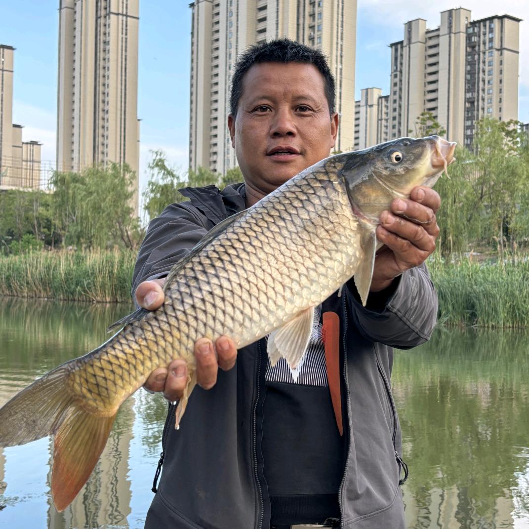 阜阳老麻雀逗钓🎣🐡🐠🐟🦞