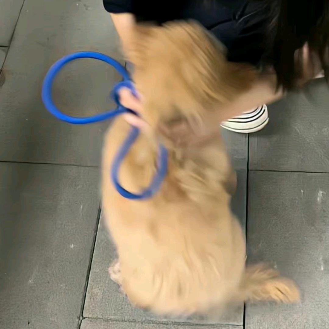 懒羊羊乐意吃点儿青草蛋糕