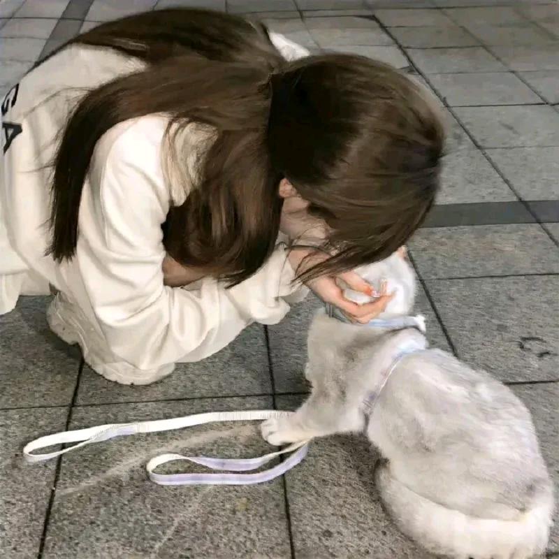 💙🚗🐱