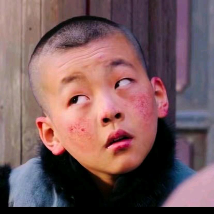 少帅（汉卿）☞闯非洲