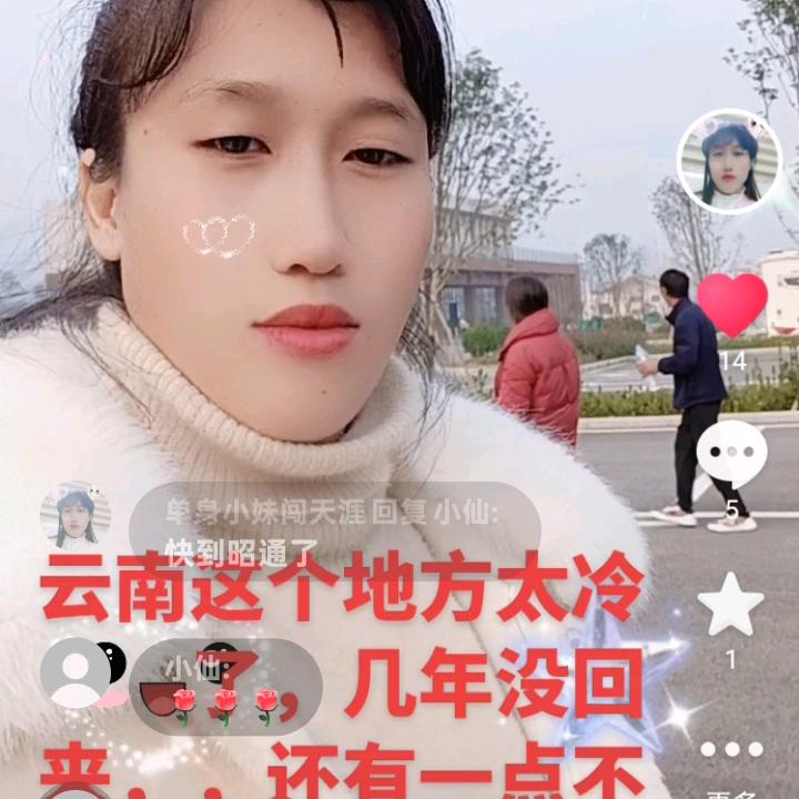 单身小妹闯天涯
