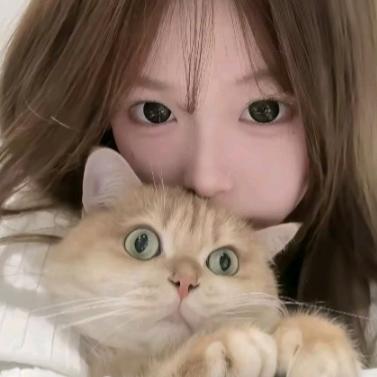 奇异果不离不弃🍀