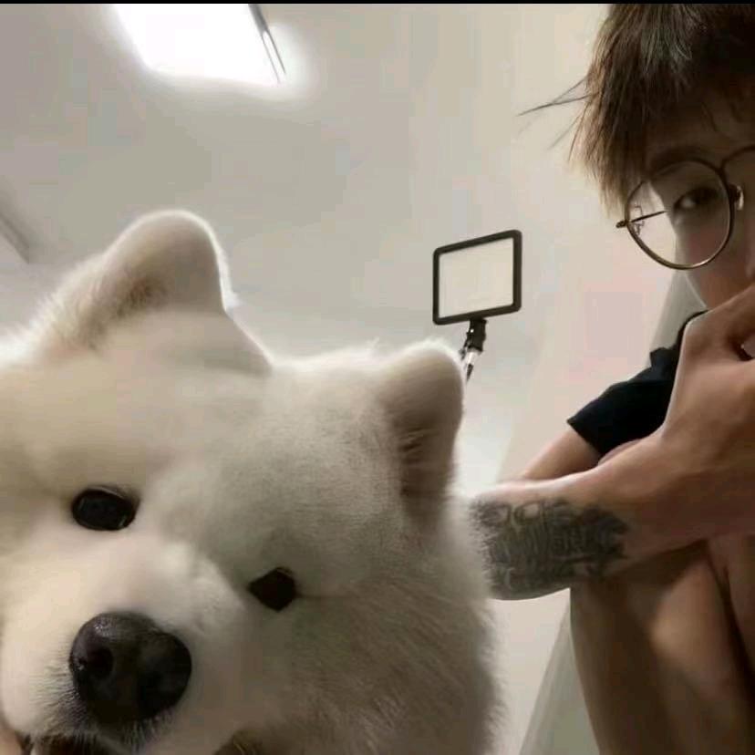 睡得晚.