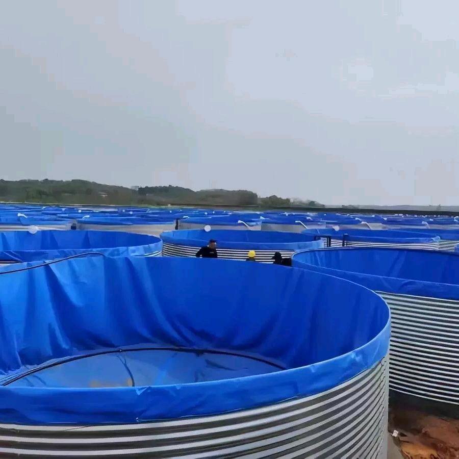 双利镀锌板帆布池