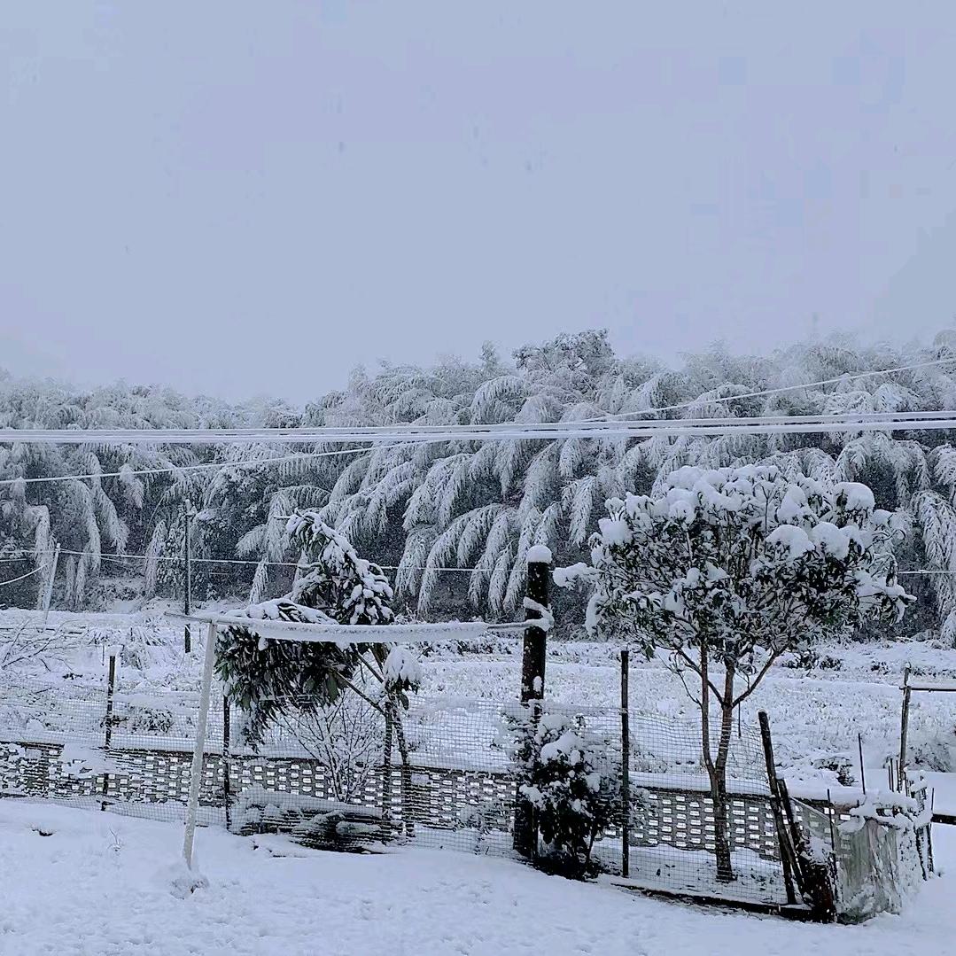 雨后哥
