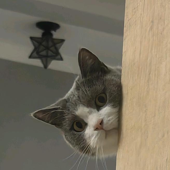 建设美丽新中国