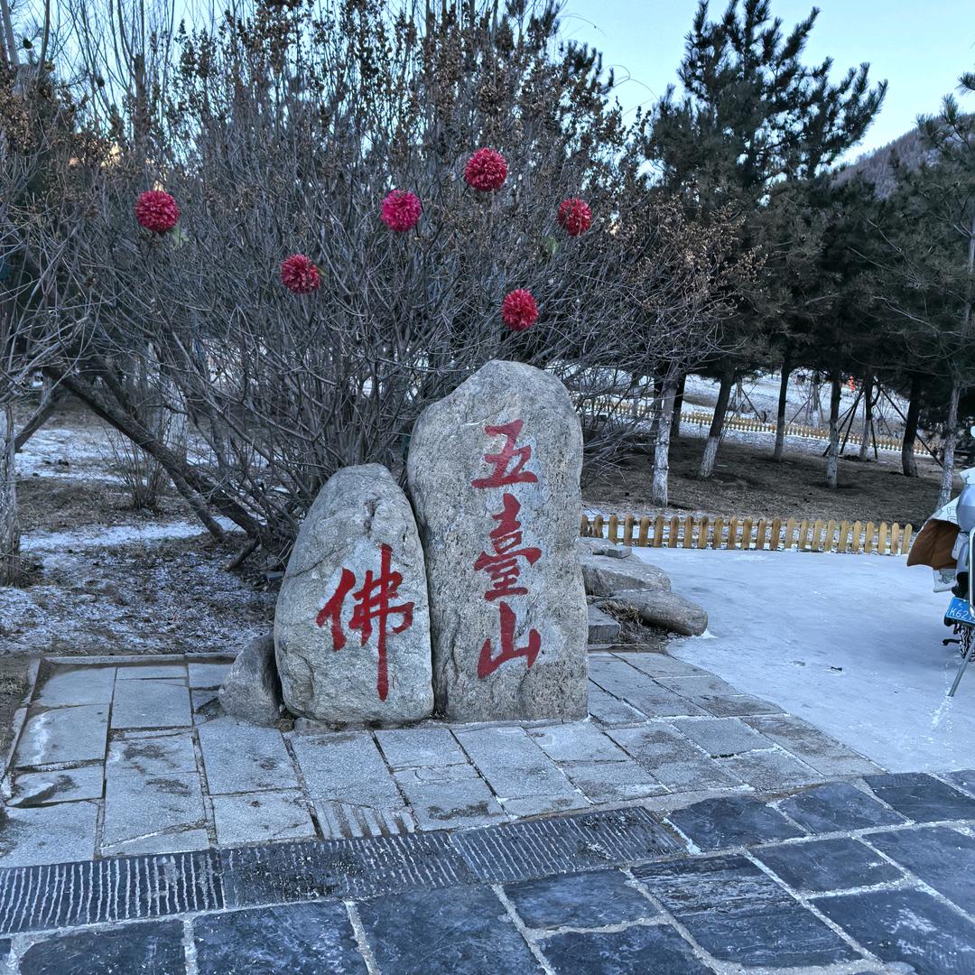 果果66
