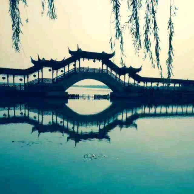 🍀刘抖抖