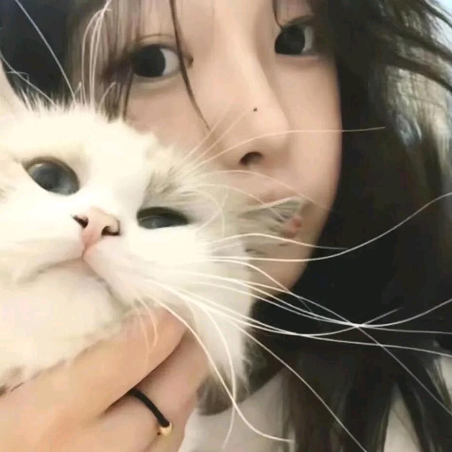 雾🌫️
