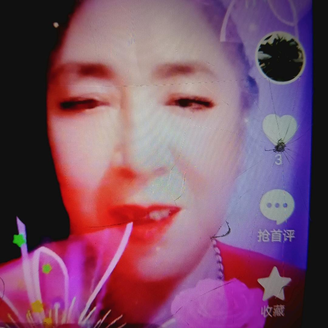 玫瑰🌹