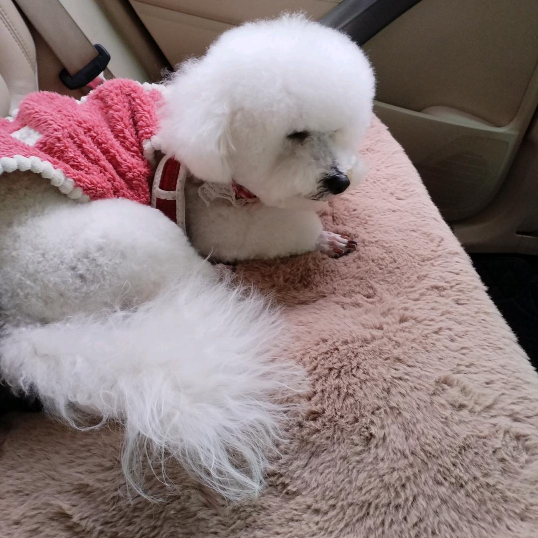 🌈平淡生活～才是福