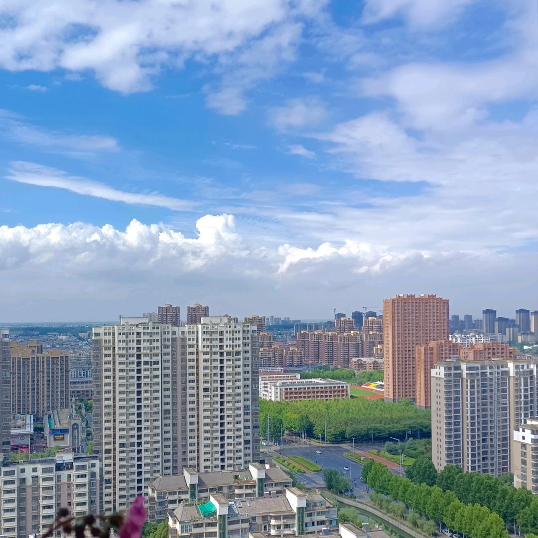 化而为鸟，其名为鹏