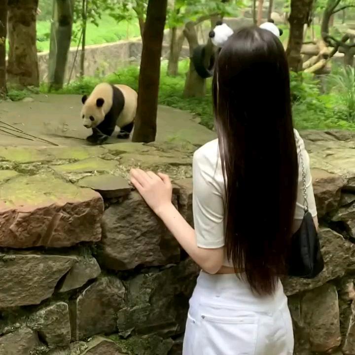 龙姑姑