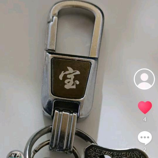 胖大宝