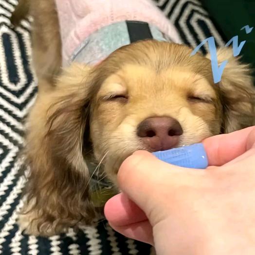 六月🌙
