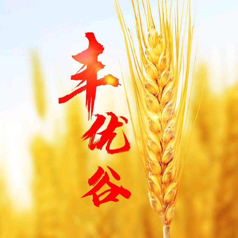 丰优谷农资