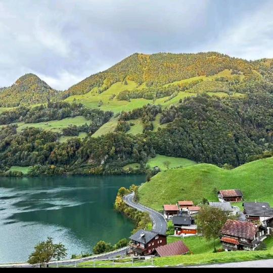 青岛兰质小裁缝