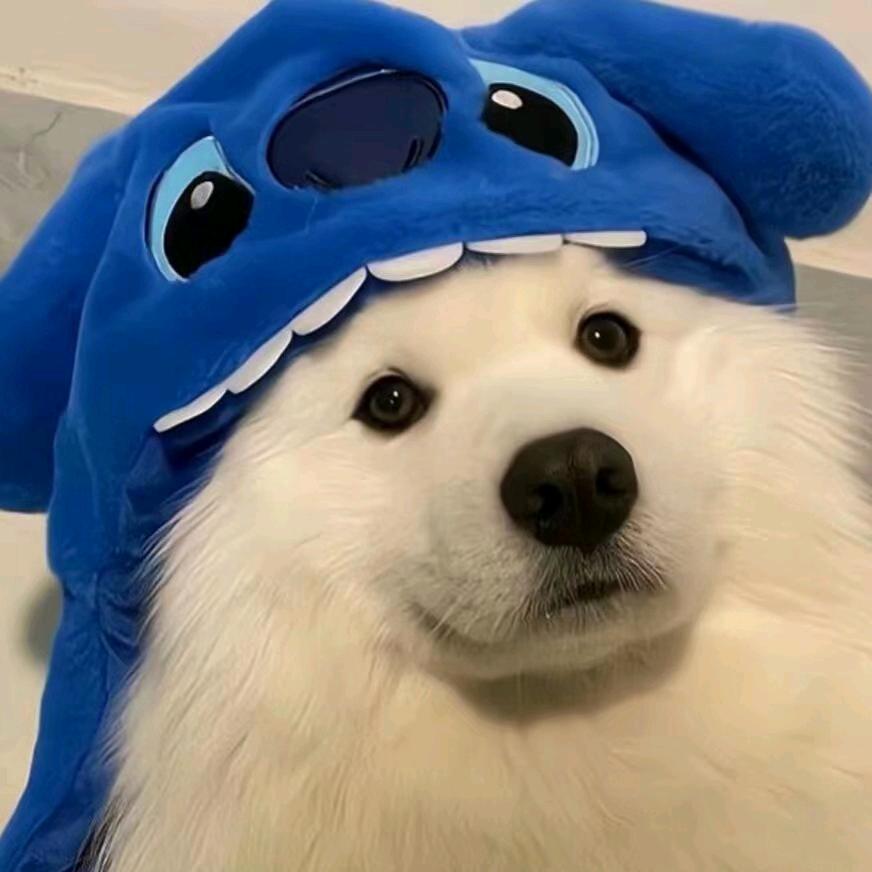 千寻.